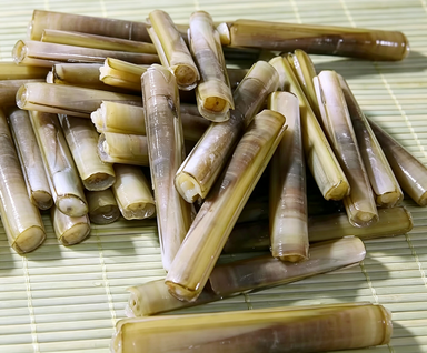 Fresh Bamboo Clams